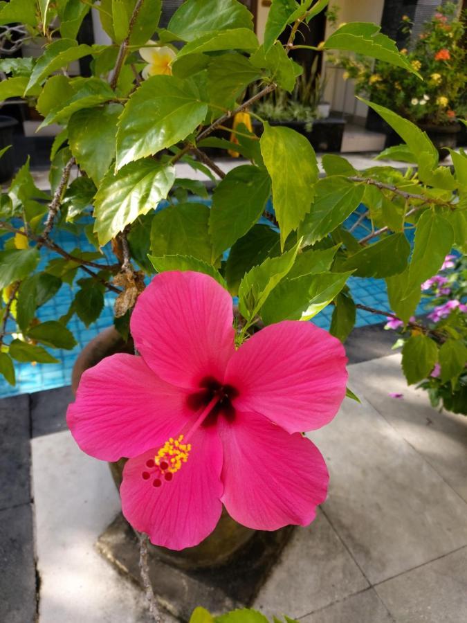 Radha Bali Hotel Kuta  Bagian luar foto