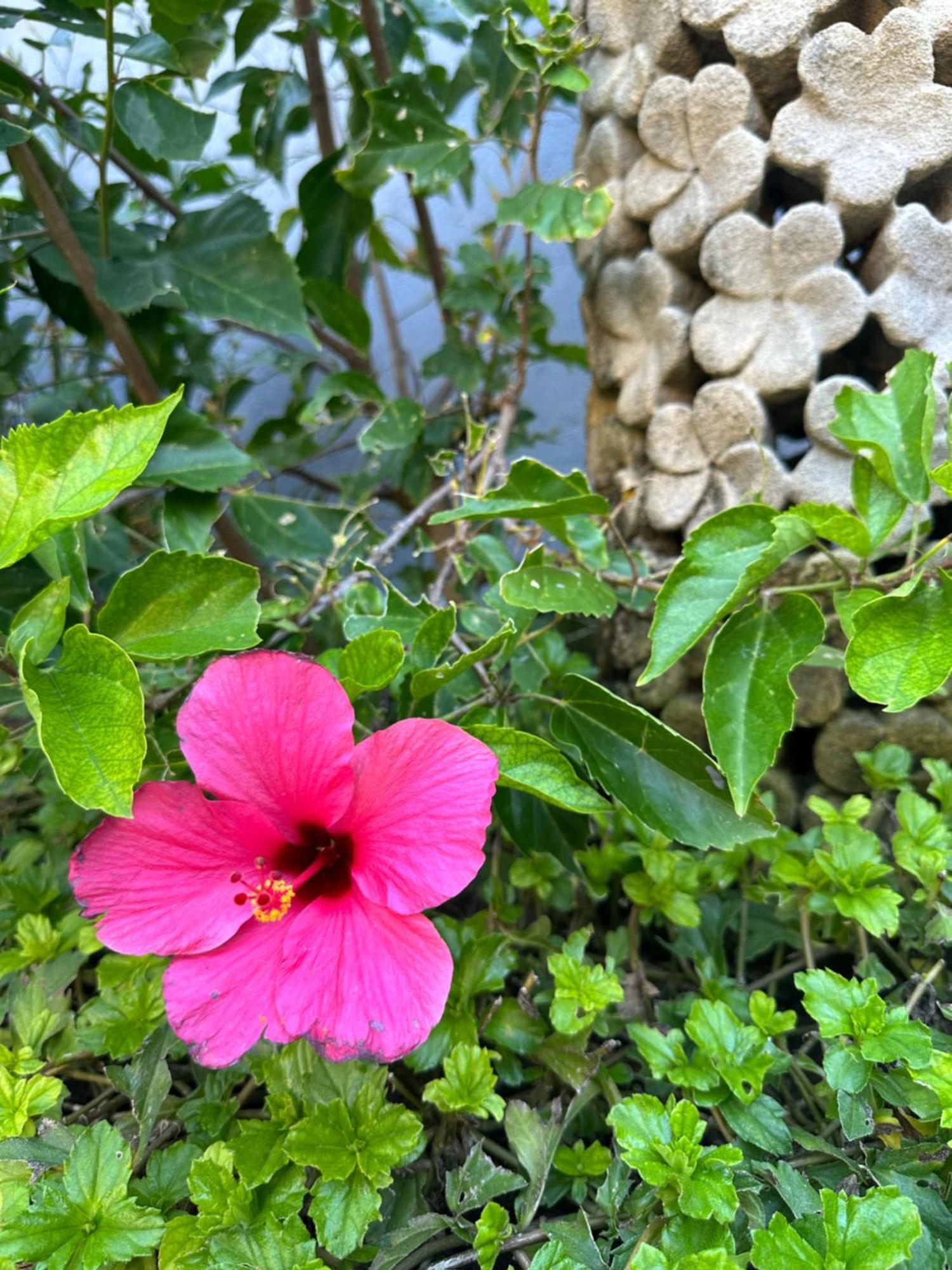 Radha Bali Hotel Kuta  Bagian luar foto